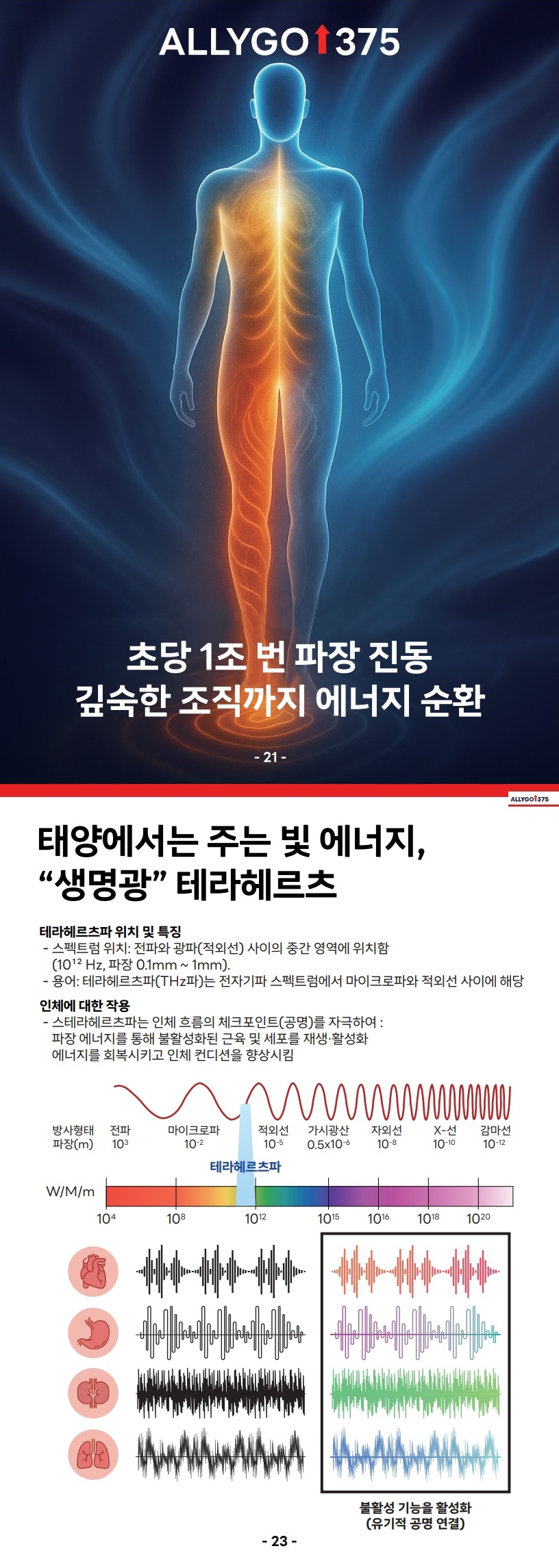 테라헤르츠 상세페이지 8.jpg