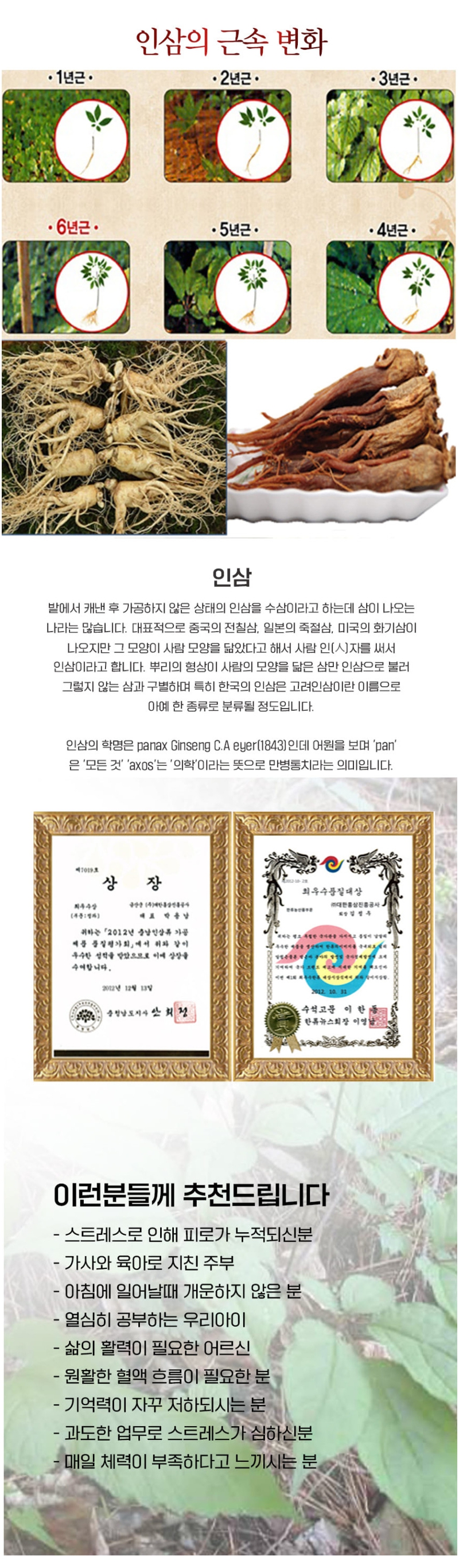 홍삼스틱 상세페이지 2.jpg